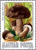 Briefmarke