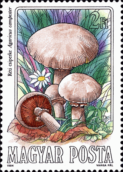 Briefmarke