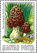 Briefmarke