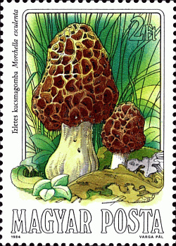 Briefmarke