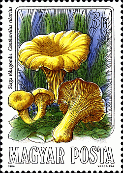 Briefmarke