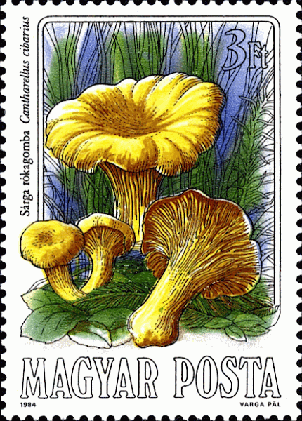 Briefmarke