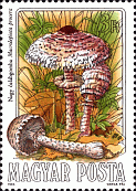 Briefmarke