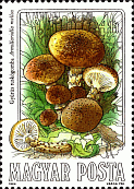 Briefmarke