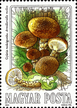 Briefmarke