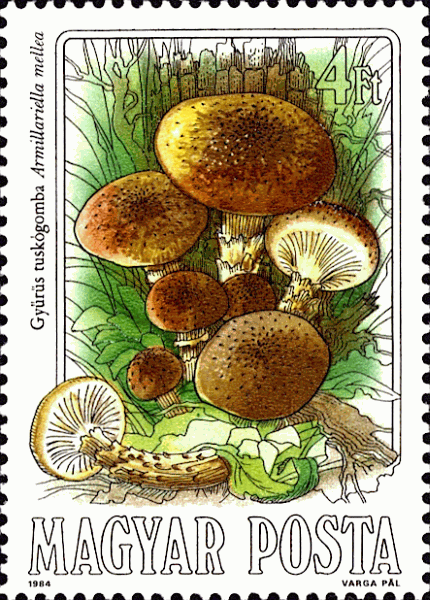 Briefmarke