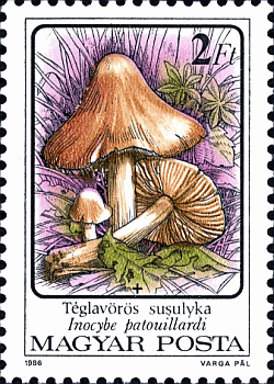 Briefmarke