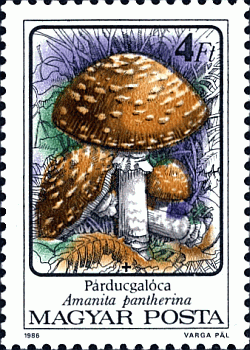 Briefmarke