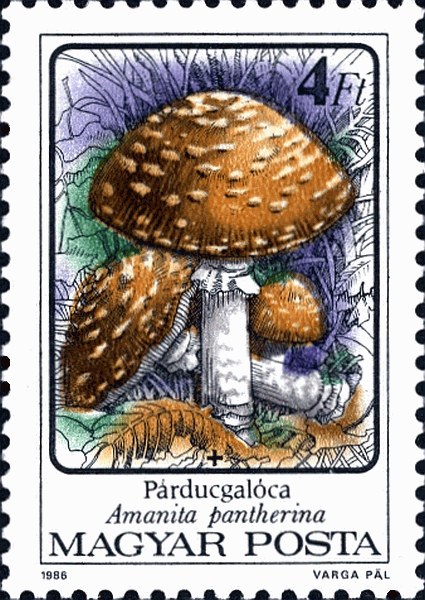 Briefmarke