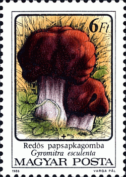 Briefmarke