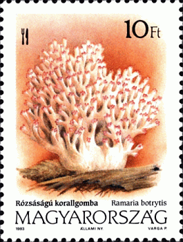 Briefmarke