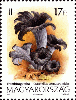Briefmarke