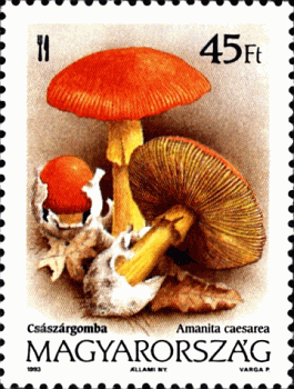 Briefmarke