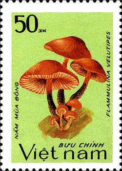 Briefmarke
