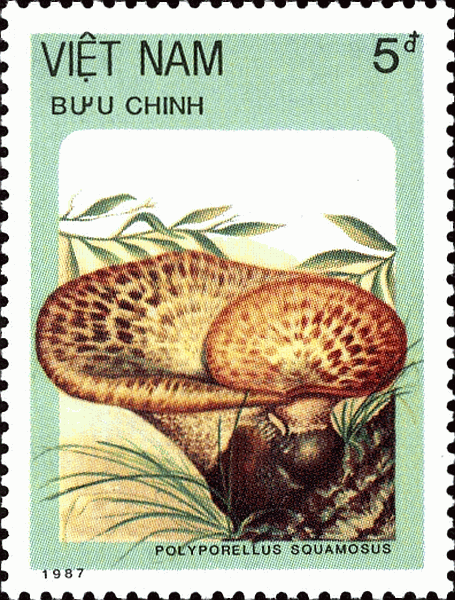 Briefmarke