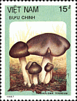 Briefmarke