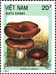 Briefmarke