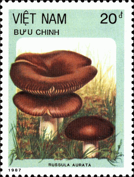 Briefmarke