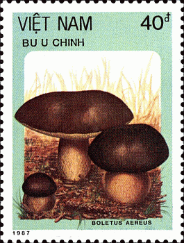 Briefmarke