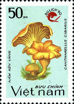 Briefmarke