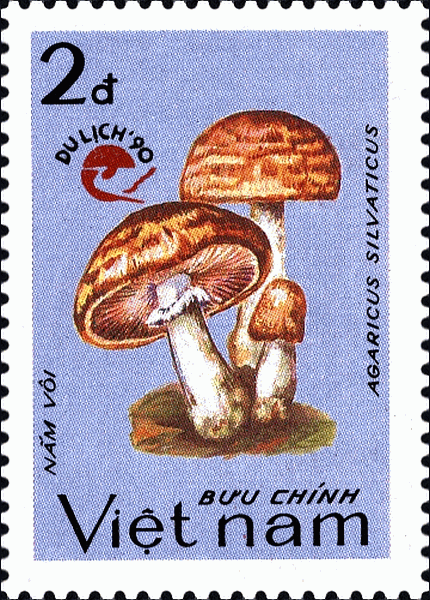 Briefmarke
