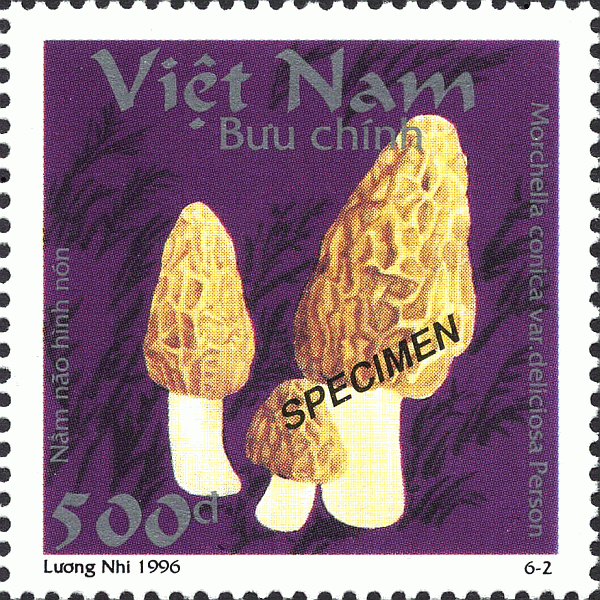 Briefmarke