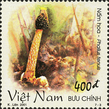 Briefmarke