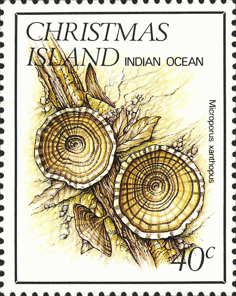 Briefmarke
