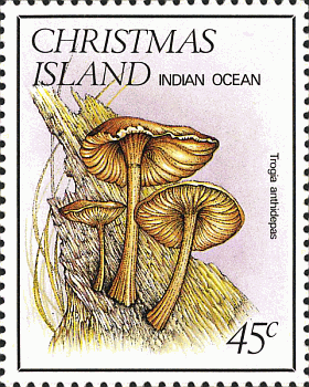Briefmarke