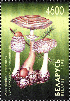 Briefmarke