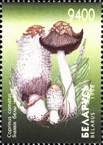 Briefmarke