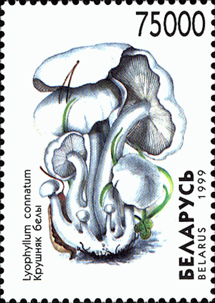 Briefmarke