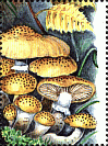 Briefmarke