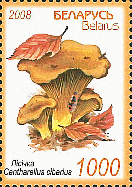 Briefmarke