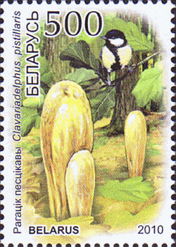 Briefmarke