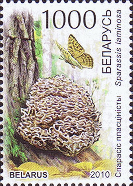 Briefmarke