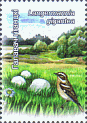 Briefmarke