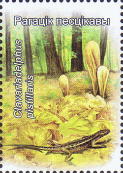 Briefmarke