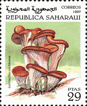 Briefmarke