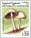 Briefmarke