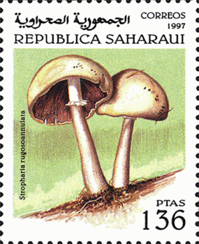 Briefmarke