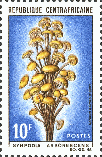 Briefmarke