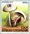 Briefmarke