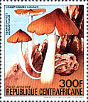 Briefmarke
