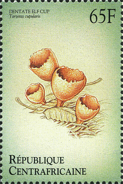 Briefmarke