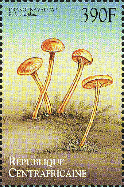 Briefmarke