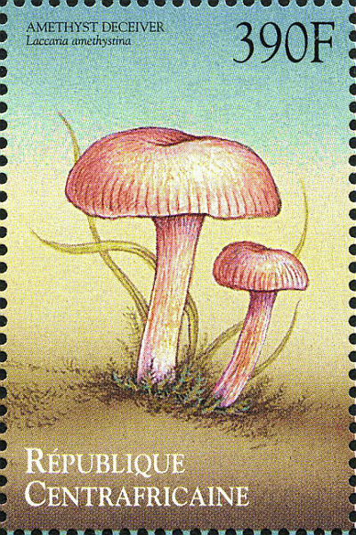 Briefmarke