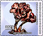 Briefmarke