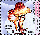 Briefmarke