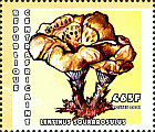 Briefmarke